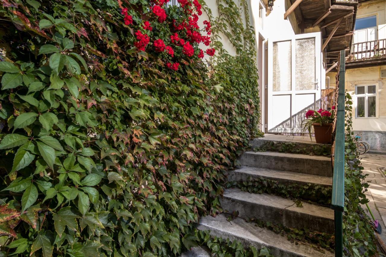 Cracow Best Location Apartment With Garden By Cozyplace Krakau Buitenkant foto
